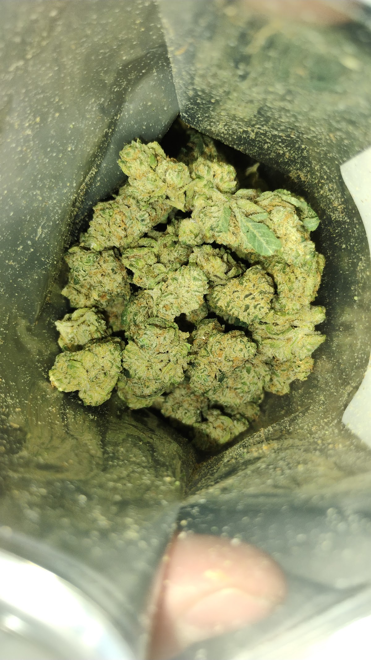 Lisbon Cannabis Manchester Google Places photo